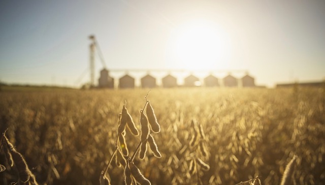 【财经数据】北京二手房网签创一年新高 美国大豆对华装运数量回升