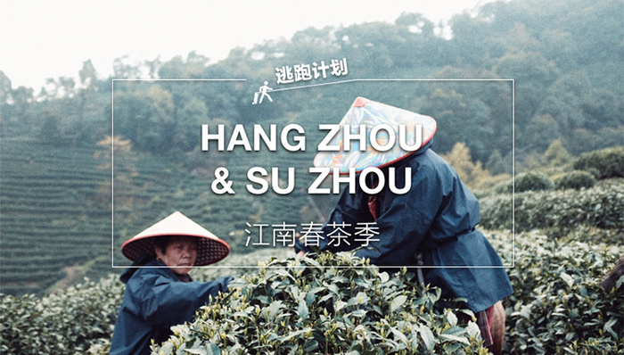 【逃跑计划】劳动节还没玩够么？抓住春天的尾巴去江南品一味春茶吧