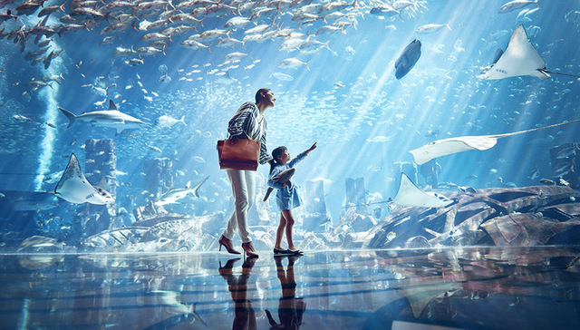 三亚亚特兰蒂斯开业了，我们第一时间探访了这座巨大的亲水度假村