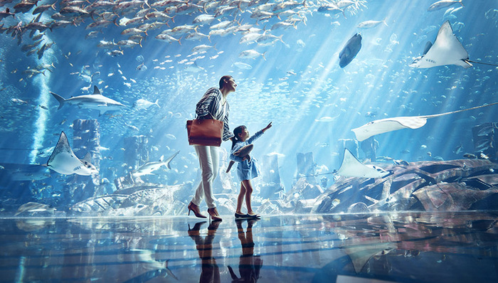 三亚亚特兰蒂斯开业了，我们第一时间探访了这座巨大的亲水度假村