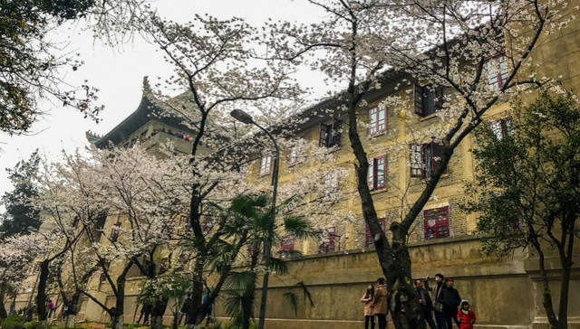 摩拜,圈层化,LP,互联网企业,互联网领域,互联网创业者,融资难,互联网浪潮,起底,本土企业