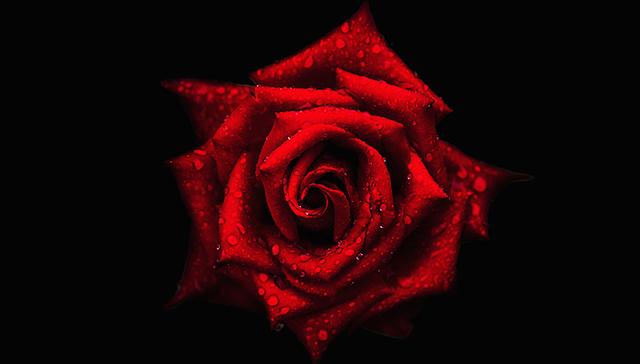 央视,资本论,动荡生活简记,不朽的马克思,肝病,异地恋,综合频道,上映,爱情诗,创作