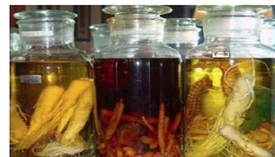 中国人为何爱喝药酒？