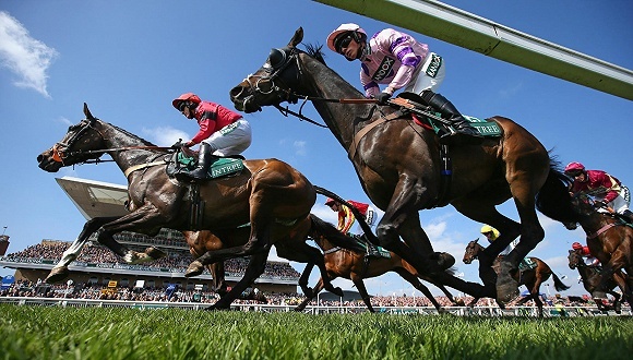 罗牛山；农场；赛马