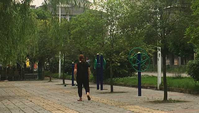 汶川地震,失独家庭,遇难者