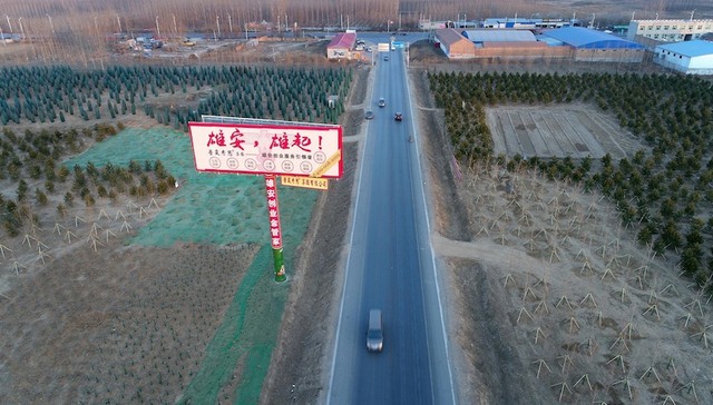 雄安大学,雄安新区,规划