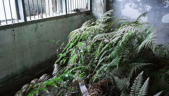 北川,汶川地震,512