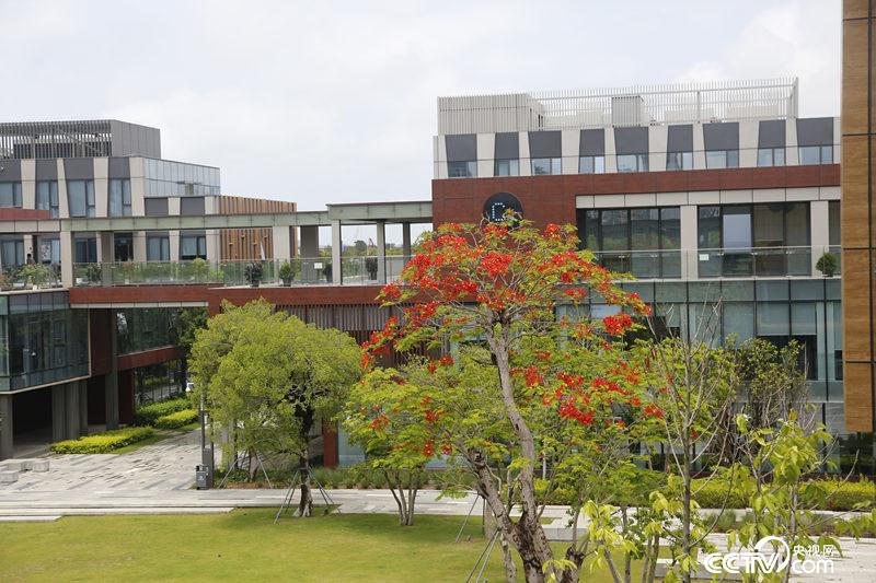 前海深港创新中心