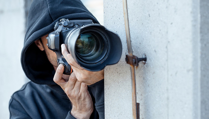 偷拍,上司,雪豹,危害公共安全,长沙臭豆腐,公民个人信息,三江源地区,黑社会