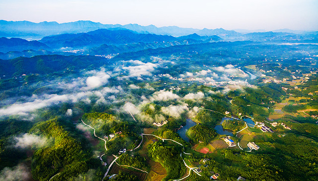 老杨,石家,宜居,院落,乡村建设,垃圾分类,别墅,银行,文明户,示范户