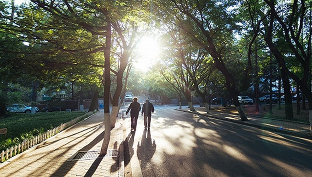 人社,财政,城乡,养老保险
