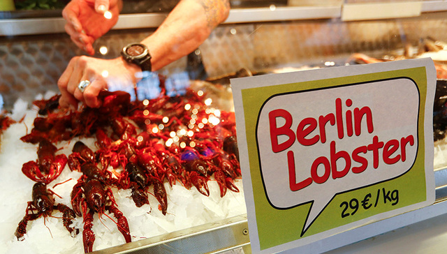 【天下奇闻】小龙虾横行柏林 政府忍无可忍：抓住吃了