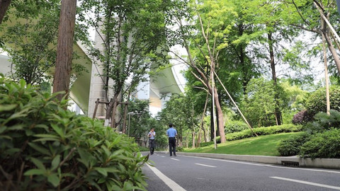 【美丽中国长江行】上海“最大违建群”变生态绿廊 “铁锈河岸”打造世界级滨水公共空间