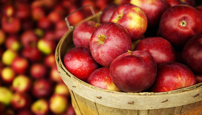 苹果,苹果主产区,卓创,合约交易保证金,1986年,期货市场,期货品种,期货行情,期货投资者,期货价