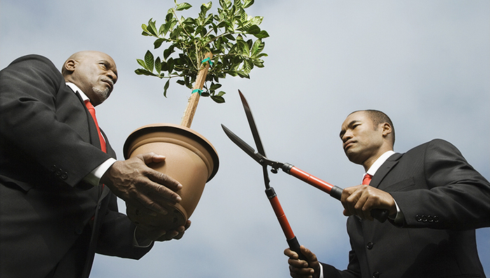 绝味,减持,一线,系基金,私募股权投资,回报基金,金能,科技股份,总股本,上市公司