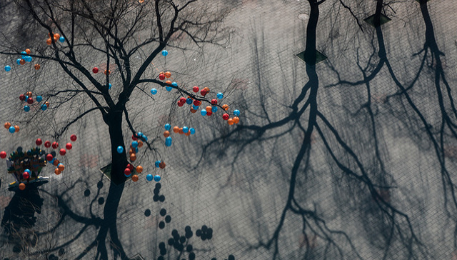 浦峰：天意有定，如此巧合