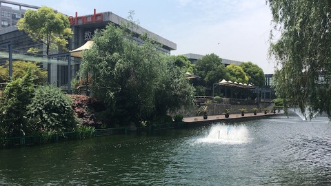 【美丽中国长江行】上海全市河道基本消除黑臭，“濒死”河流重现生机