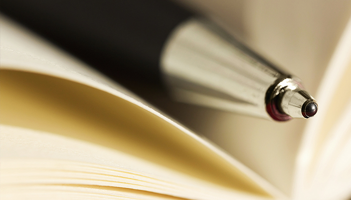 幼儿园,大风车,王某,,,民办,事件处置,治疗,文字编辑,家长,刑事拘留