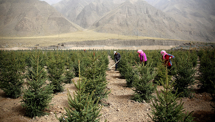 习近平,生态环境保护,生态文明,保护生态环境,生态安全,生态保护,生态环保,保护眼睛,保护环境,中共