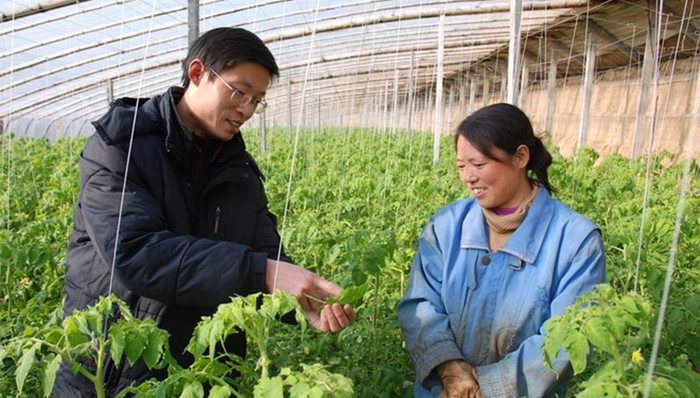 抢人大战,人才,三农