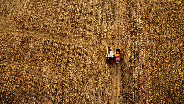 商务部：终止对原产于美国的进口高粱反倾销、反补贴调查