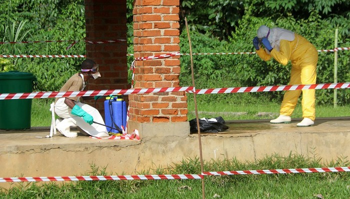 刚果,世卫组织,死亡,中国,使馆