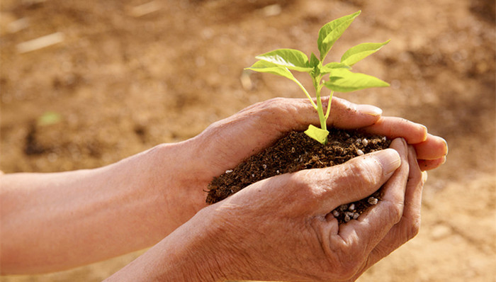 中国土地矿产海洋资源,统计公报,土地违法