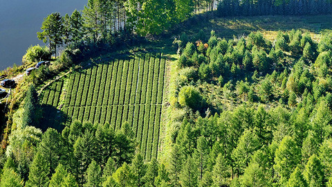 绿色发展共筑美丽中国