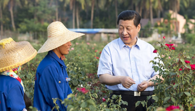 习近平,发展,绿色,十三五,辩证统一,普遍联系,绿色辩证法,求生存,山水,林田湖