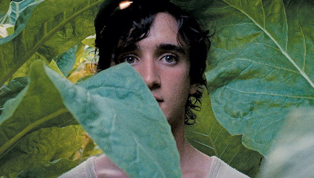 【戛纳】Netflix买下获奖影片《幸福的拉扎罗》、《女孩》