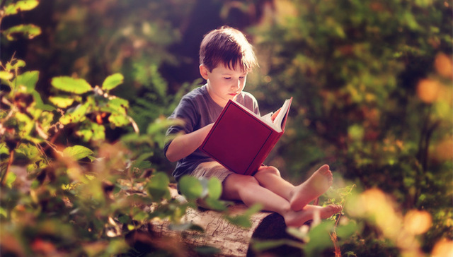 美国教育水平全球最佳？这很可能取决于是哪个党派的人来回答