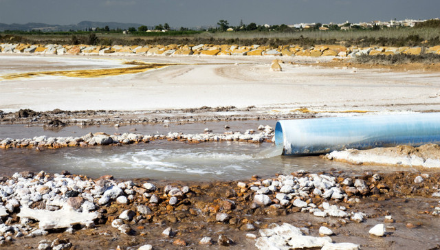 环保组织调研101条黑臭水体：部分仍存在较为明显的黑臭问题