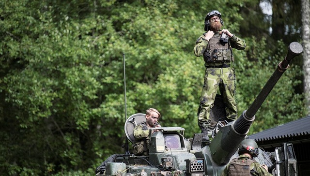 瑞典,手册,俄罗斯,战争,军演,防御,网络