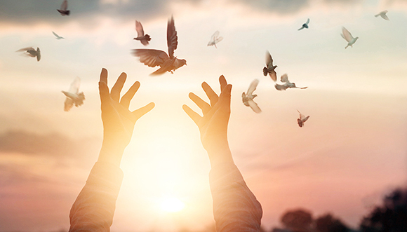 车载电源龙头企业欣锐科技上市 研发能力突出客户稳定