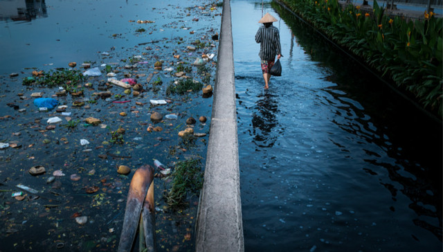 中纪委,生态环境,问责官员