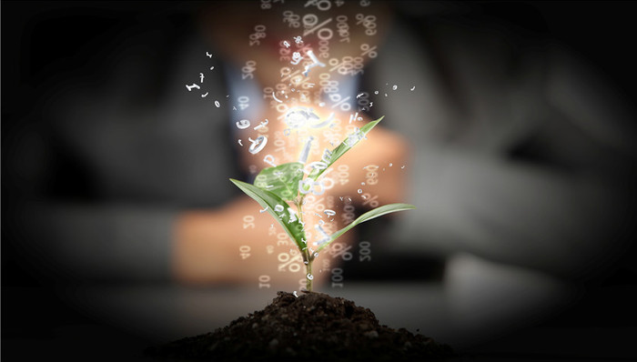 今日投资,今日股市消息