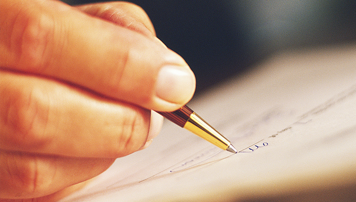 软件工程,高职高专,能源与动力工程,输配电线路,学前教育,大学毕业生就业率,本科专业,电气工程及其自