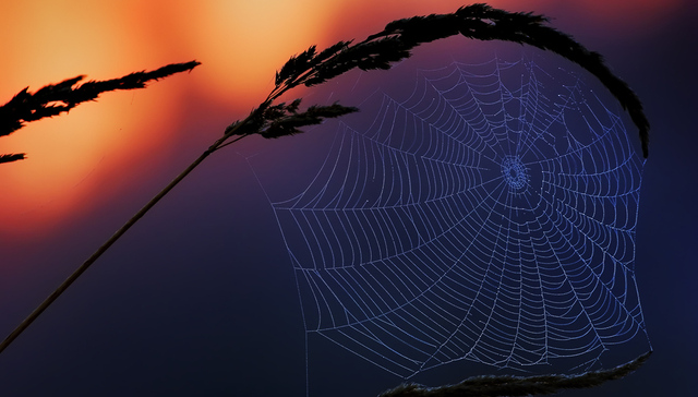 鞠建东：面对中美贸易摩擦 中国要谨防跌入三种陷阱