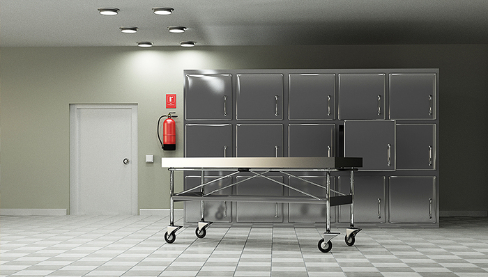 王凤雅,杨美芹,农村儿童,农村家庭