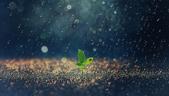 华为,超级流动性,,企业文化,客户需求