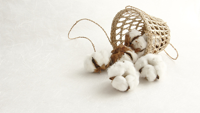 苹果疯完棉花疯！农产品狂欢背后 多家上市公司笑了