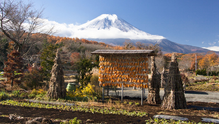 亚洲社会,天下故事,劳动力