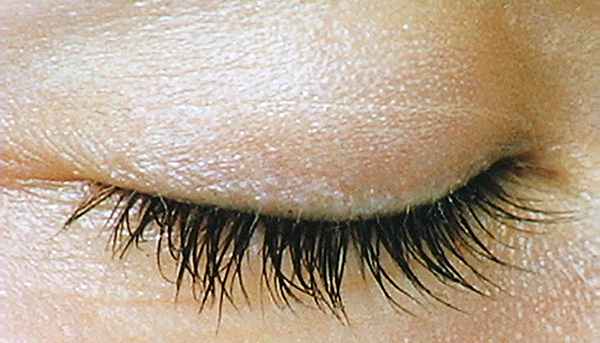 照片里头有什么？