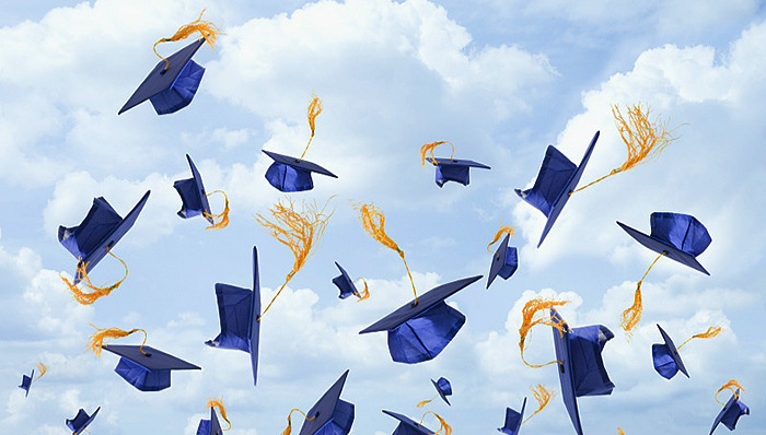 启德教育,神州数码,留学行业