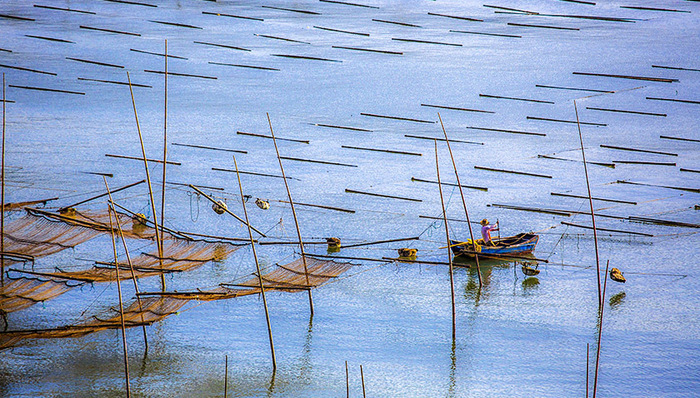 闽东,溪村,五心,银行,光明日报,赤溪,弱鸟先飞,党乡,地府,唱山歌