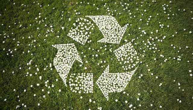 生态环境部,公民环保行为,调查报告