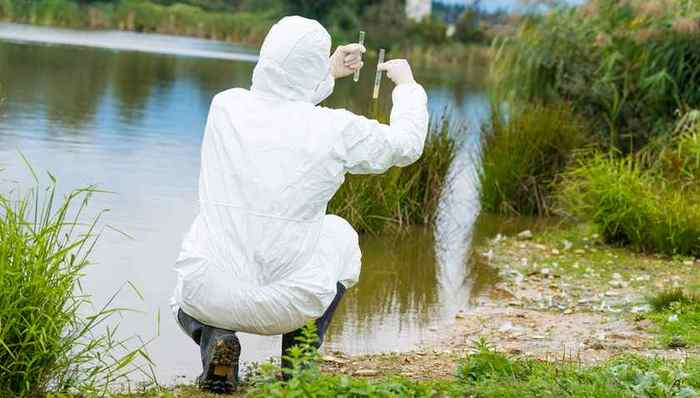 生态环境部,地表水,环境质量