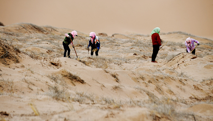 一刀切,升级版,回头看,意见,环保设备,农业面源污染,假整改,关停,经济观察报,lsquo