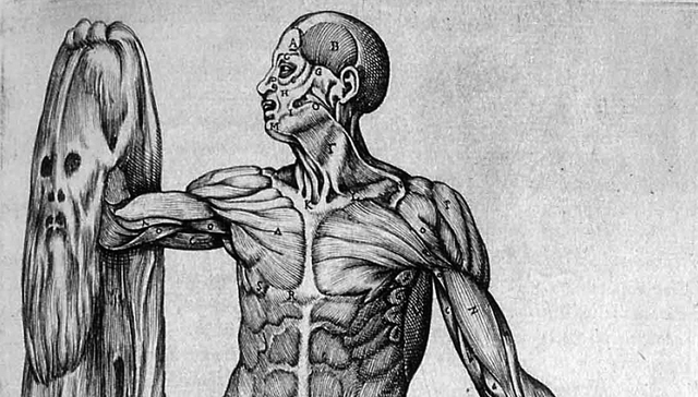 丑：一个文化问题