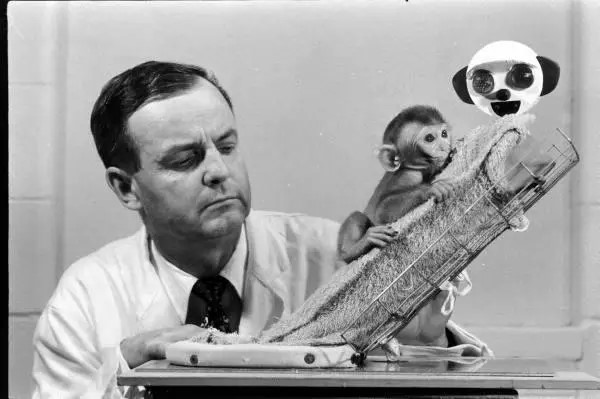 哈洛“恒河猴实验”